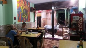 Jyoti Cafe-Cafes In Varanasi