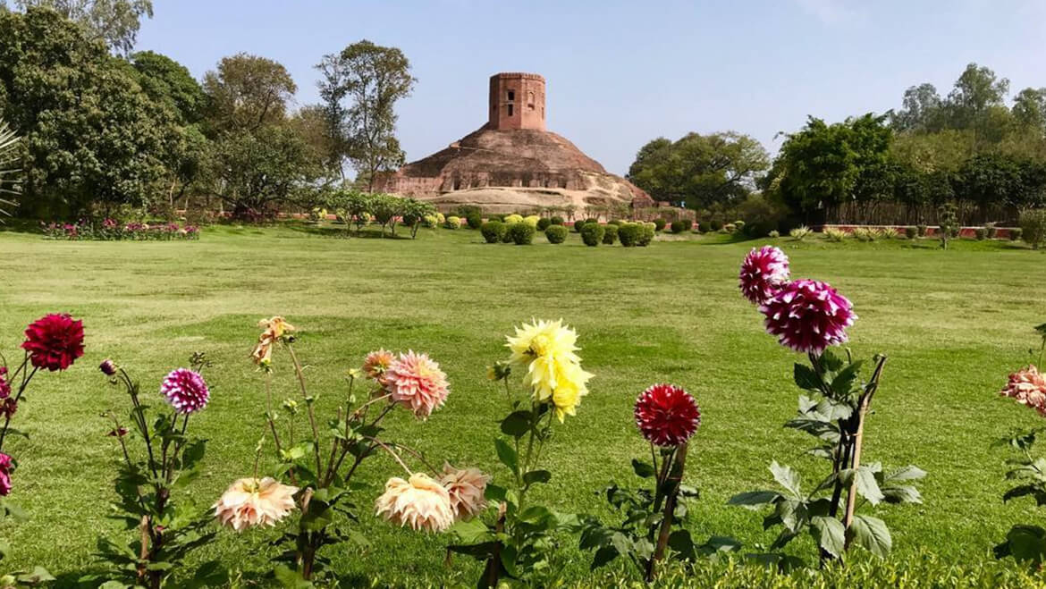 Gardens - things to do in sarnath