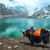 Sikkim Travel Guide For Every Traveler Enthusiast