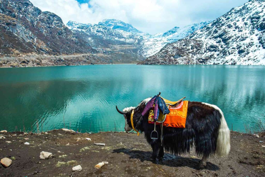 Sikkim Travel Guide For Every Traveler Enthusiast