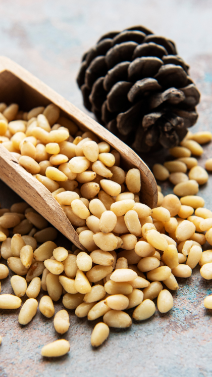 ​7 Benefits Of Consuming Chilgoza (Pine) Nuts Daily | Times Of India