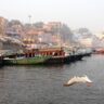 Reasons to Visit Varanasi in Winter