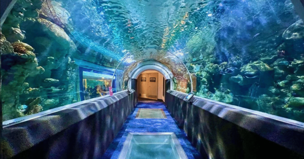 indoor things to do in milwaukee