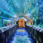 indoor things to do in milwaukee